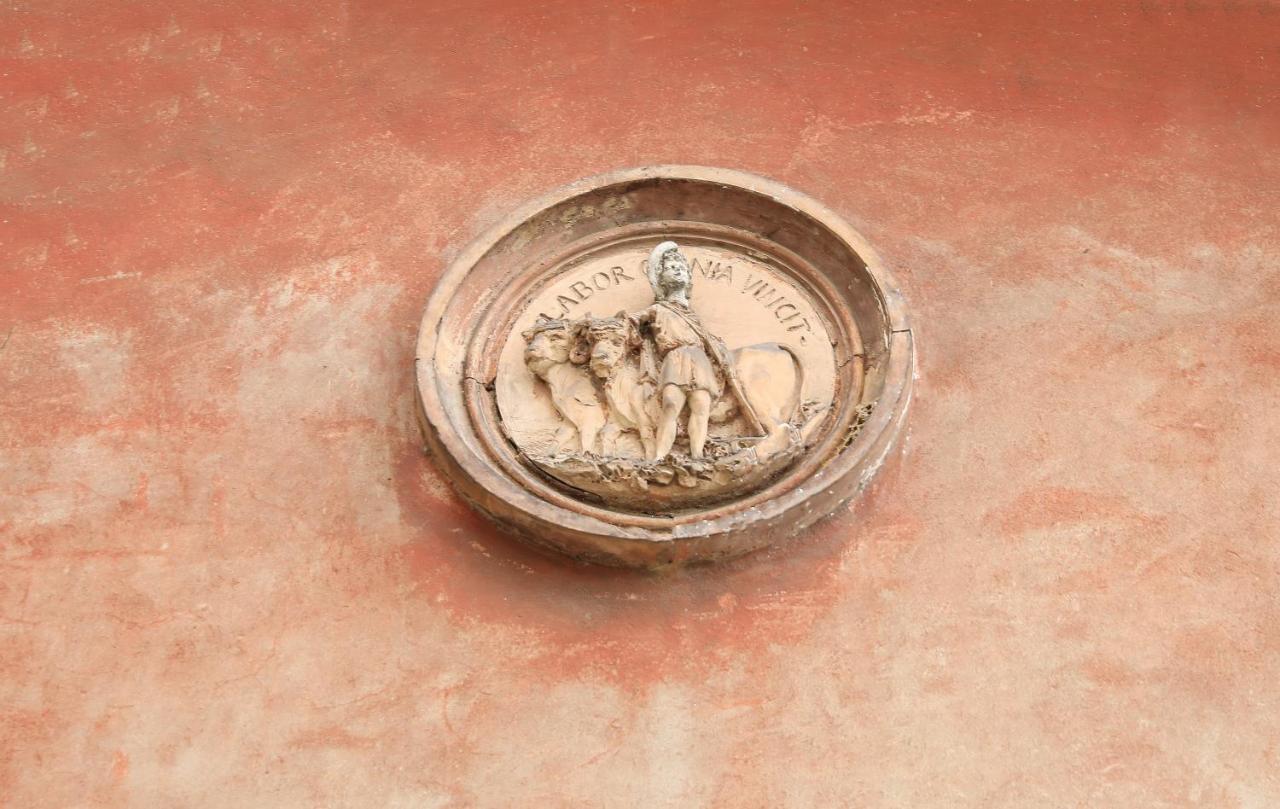 Condrieu Comme A La Maison Kültér fotó