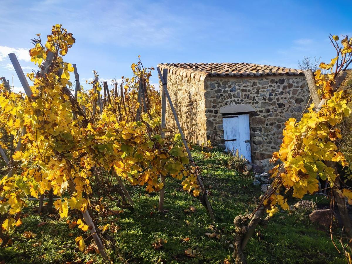 Condrieu Comme A La Maison Kültér fotó