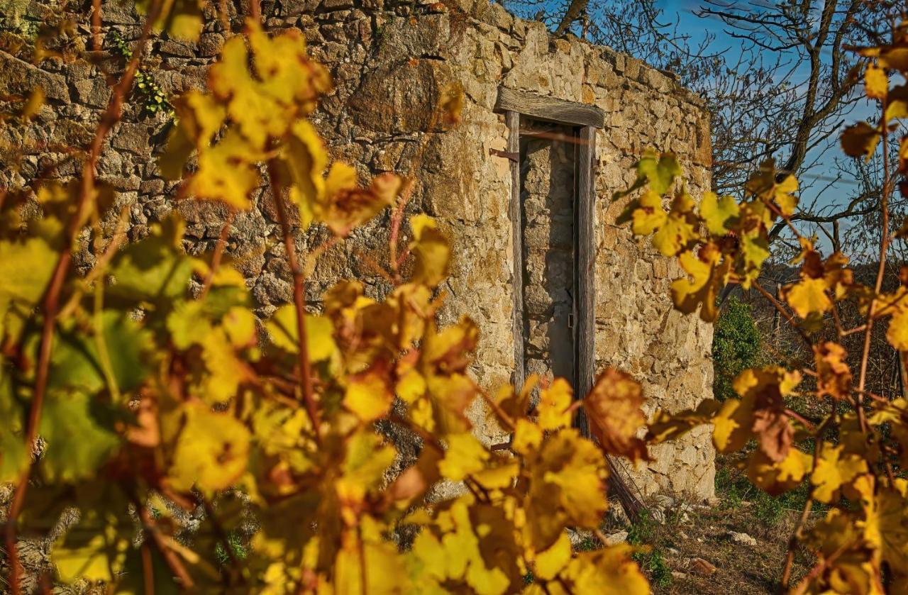Condrieu Comme A La Maison Kültér fotó