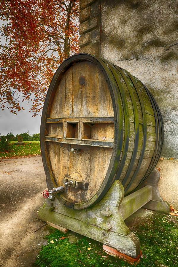 Condrieu Comme A La Maison Kültér fotó